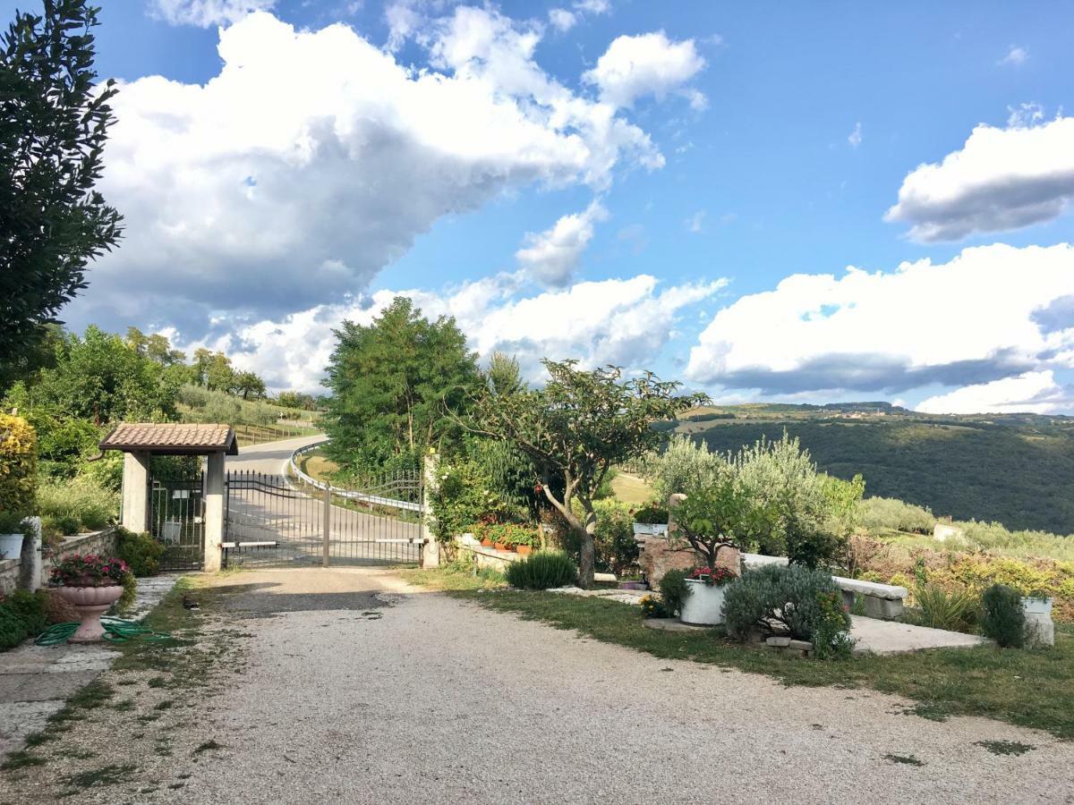 Bed and Breakfast Ai Sette Noci à Alcenago Extérieur photo